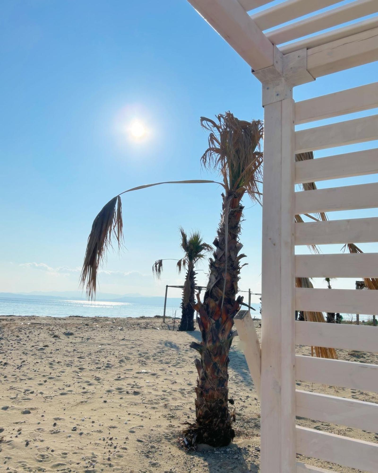 ホテル Soho Ayvalik Beach House Küçükköy エクステリア 写真